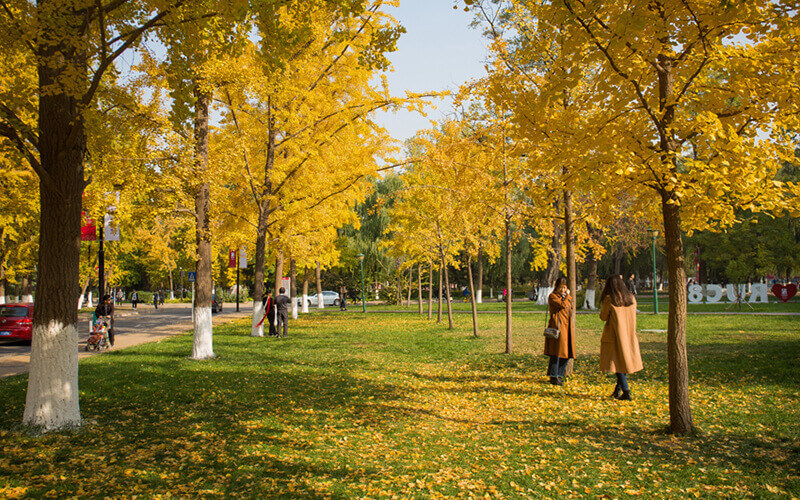 大学图片